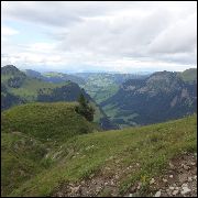 Image description